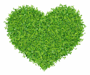 Heart of the Show 'N' Go Lawn Services, Roger Brown